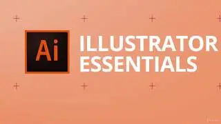 Adobe Illustrator CC 2020 for Beginners | Tutorial 10 |