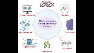 Multi-omics approaches to microbial preparations: cultivation and bioinformatics methods.