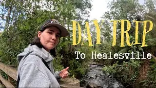 Day Trip to Healesville