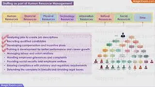 Staffing as part of Human Resource Management CBSE Class 12 Business Studies