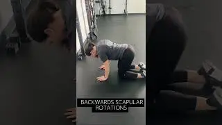 Scapular Mobility & Strength
