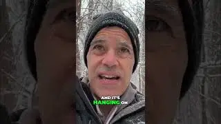 Winter Photography Hacks for Your Equipment #winterphotography #camerahacks #phototips