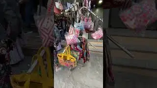Hathi pole market Udaipur Rajasthan #rajasthan#udaipur #shoppingvlog