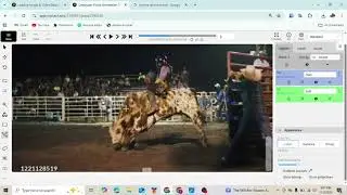 Barrel Race Annotation 