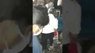 Most Horrible Cockroach Infested HDB flat in Singapore