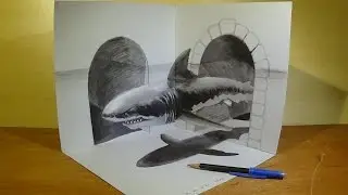 Рисунок Большая Белая Акула в 3D, Magical Художественные рисунок