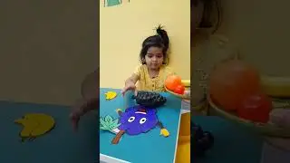 Identifying And Matching Fruits
