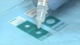 PNA FISH Procedure