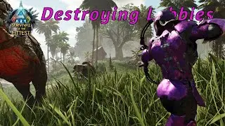 Returning For 3 Wins In A Row And Channel Update Ark Survival Of the Fittest ASE