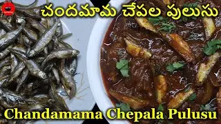 చందమామ చేపల పులుసు | Chandamama Chepala Pulusu | Village Style Fish Curry | Chinna Chepala Pulusu