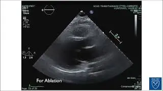 I wish I had known this a long time ago! Clinical Situations and Images to Remember