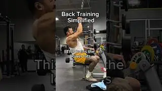 The Minimalist Approach to Back Training 💪