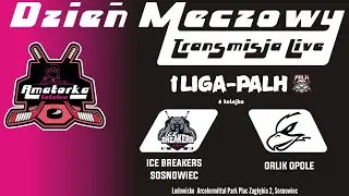 Ice Breakers Sosnowiec VS Orlik Opole 1 LIGA PALH