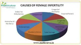 Female Infertility Treatment In Bangalore | Causes Of Infertility Karnataka | IVF Clinics India