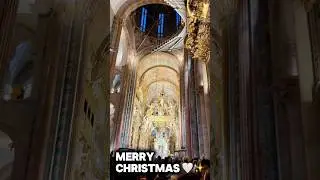Merry Christmas from Santiago Cathedral 🎄✨ 來自聖地亞哥主教座堂的聖誕祝福