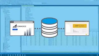 BPA Platform Training - Getting Orders using the BigCommerce API