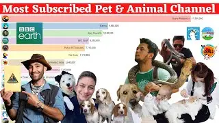 Most Subscribed Pets & Animals Channel on YouTube (2010 &ndash; 2020)