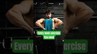 Every Back exercise you NEED