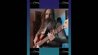 #shorts PINK FLOYD - 
