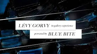 L&eacute;vy Gorvy In-gallery Experience | Powered by Blue Bite