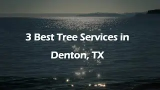 3 Best Tree Services in Denton, Texas 2024 | Arborists