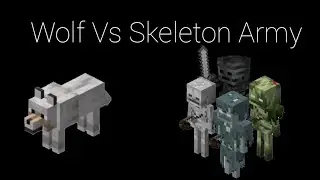 Minecraft Mob Battle (Wolf Vs Skeleton Army)