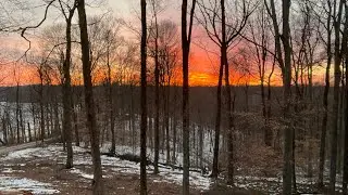 Clearing fallen trees on the homestead!