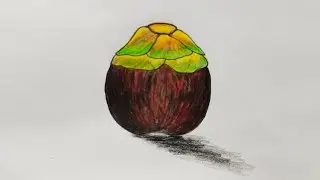 palm drawing \\ tal tree drawing \\ fruit drawing for beginner