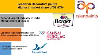 Indian Paint Stock Analysis | Best paint stock to invest | Stock market for beginners |