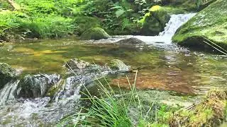 Nature Sounds – Mountain Stream in 4K 60 FPS | Relax, Focus, Sleep