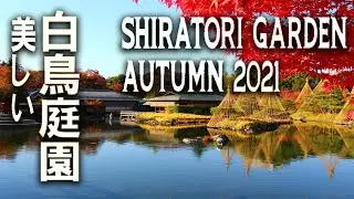 【4K】Walking around at Japanese Garden in Nagoya AUTUMN 2021 (Shirotori Garden 白鳥庭園秋2021)