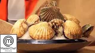 Przegrzebki w kuchni MasterChefa | MasterChef Polska
