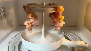 Cleaning Issues, Taste/Consistency Issues, and Review of Bacon Wizard (Microwave Bacon Cooker)