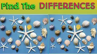 Find The Differences || CHALLENGE DAY 2 ||#short #live #challenge #test #Sevenstar #Sevenstar_gamer