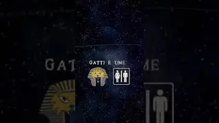 La Caterva Story