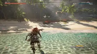 How to Kill stormbird / Horizon forbidden west