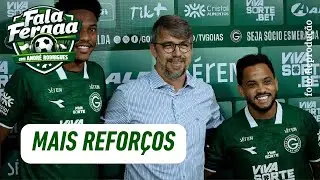 FACTUAL SOBRE O TEMA!🫡✈️👊🏻