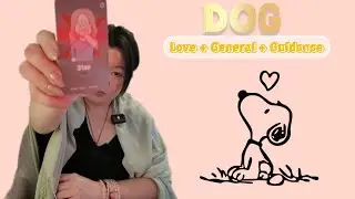 December Dog Zodiac Reading&ndash; Love, General & Spiritual Guidance | Eng Subtitle  #tibetanyoutuber