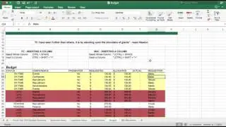 Excel - Inserting A Column with Keyboard Shortcuts - Mac & PC