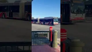 Disney articulated bus