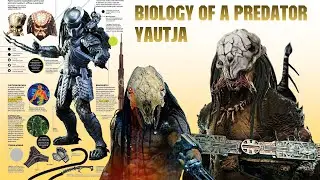 Origins, Biology And Life Cycle Of A Predator (Yautja)