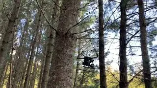 Drone LiDAR Scanning within the Forest Using Autonomy of Hovermap
