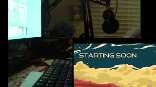 Art Stream 35 - DesertP's Lizardsona