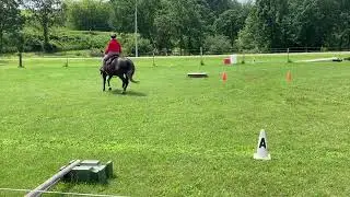 Michelle n Charity ILHA Bridleless Novice Pattern 3