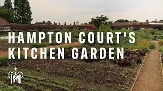 The Kitchen Garden at Hampton Court Palace