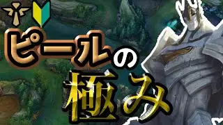 ピールの極み ガリオSUP解説