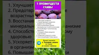 Слива.. полезно знать
