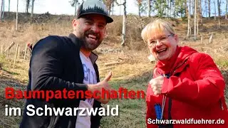 Baumpatenschaften im Schwarzwald