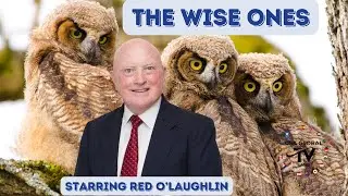 THE WISE ONES PRESENTS SPEAKER, CREATOR & AUTHOR RUSS JOHNS