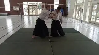Aikido - Morote dori Iriminage (3 Var.)
